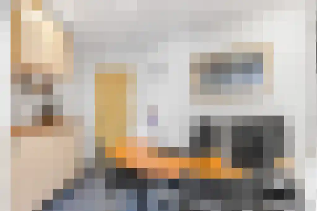 Wijde Noorderhorne 6 Sneek thumbnail 28