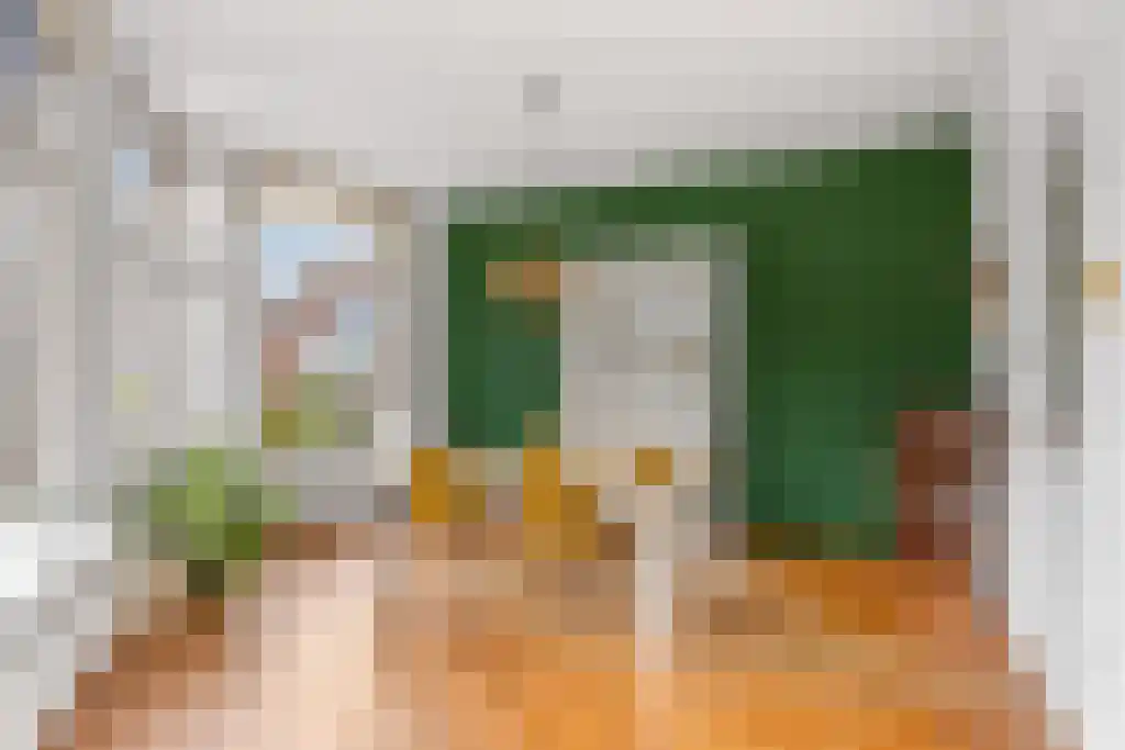 Wijde Noorderhorne 6 Sneek thumbnail 6