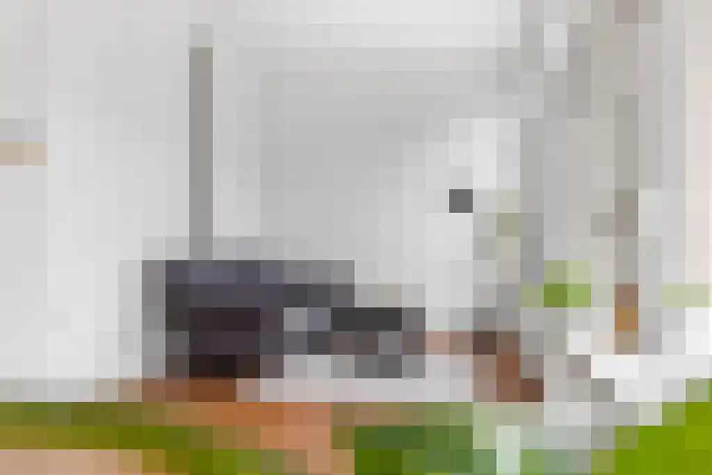Wijde Noorderhorne 6 Sneek thumbnail 7