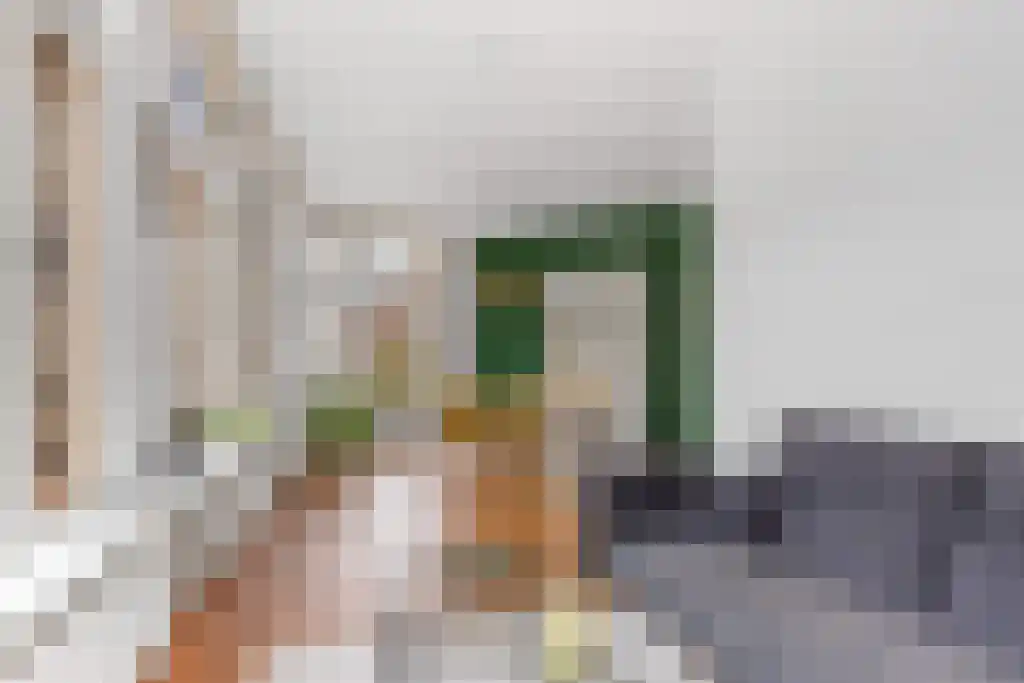 Wijde Noorderhorne 6 Sneek thumbnail 8