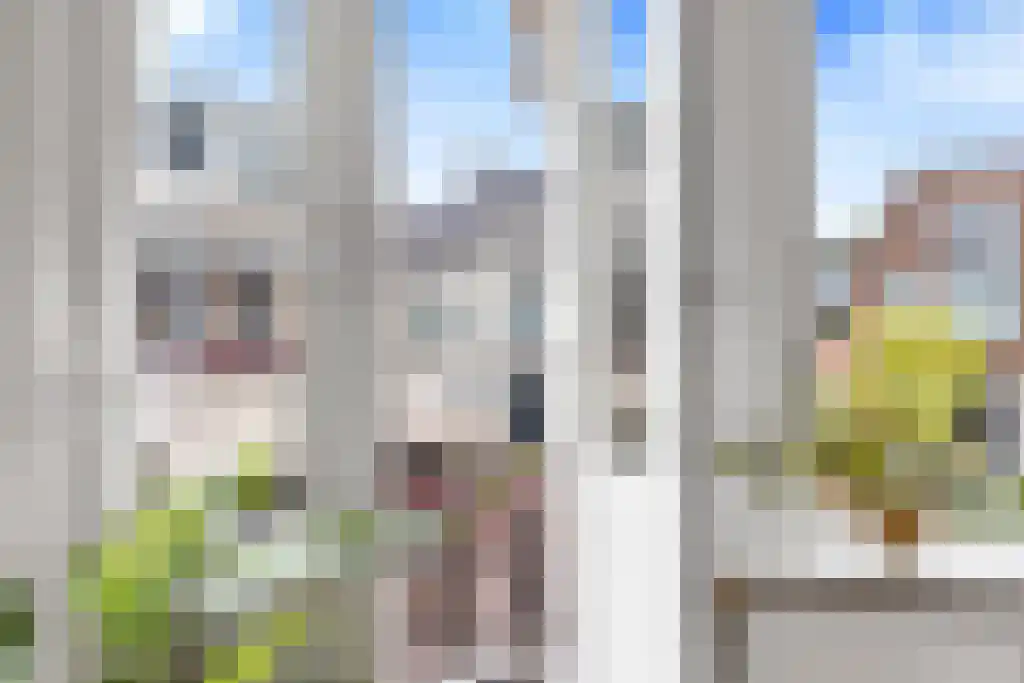 Wijde Noorderhorne 6 Sneek thumbnail 9