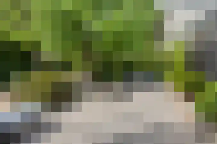 Wijde Omloop 22 Oosterhout thumbnail 35