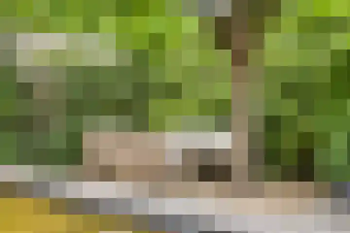 Wijde Omloop 22 Oosterhout thumbnail 36