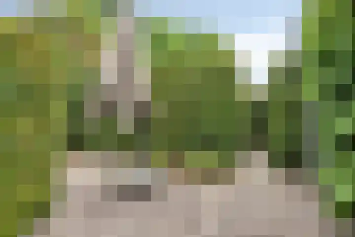 Wijde Omloop 22 Oosterhout thumbnail 37