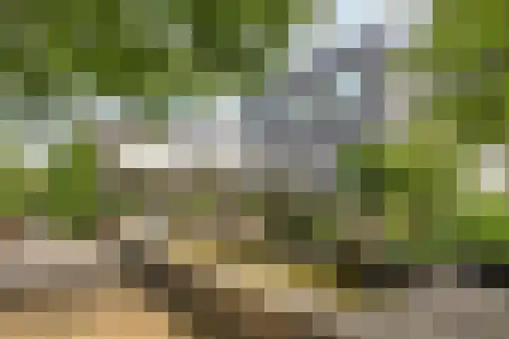 Wijde Omloop 22 Oosterhout thumbnail 40