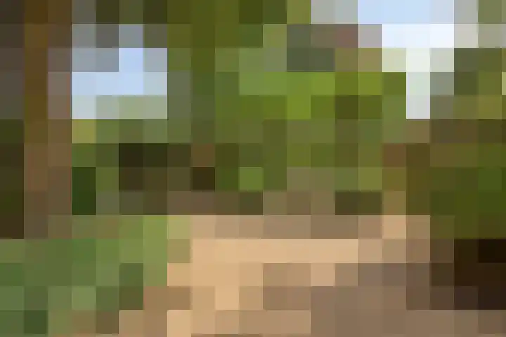 Wijde Omloop 22 Oosterhout thumbnail 41