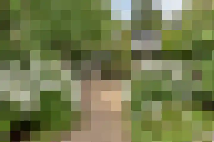 Wijde Omloop 22 Oosterhout thumbnail 42