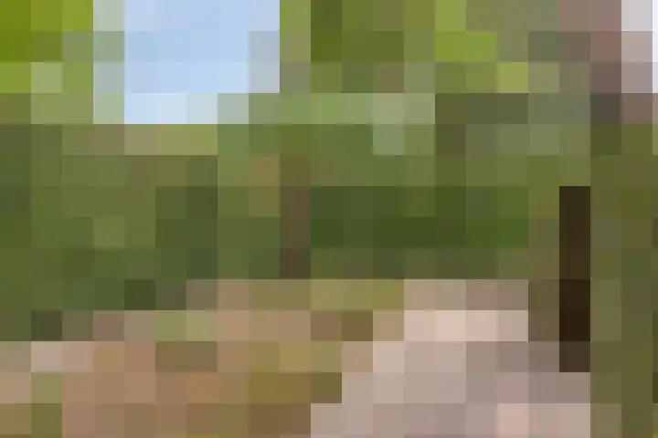 Wijde Omloop 22 Oosterhout thumbnail 44