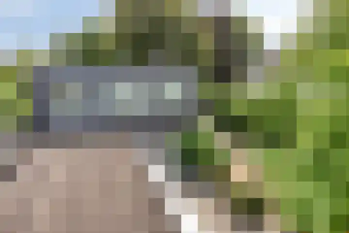 Wijde Omloop 22 Oosterhout thumbnail 46