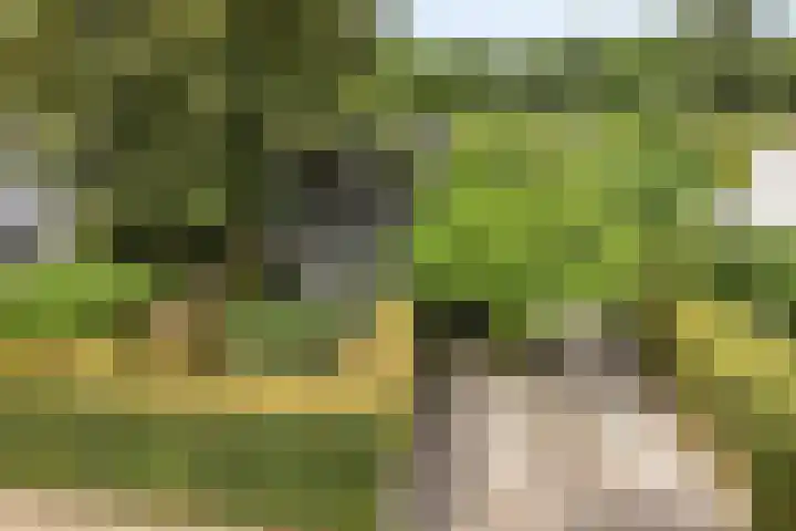 Wijde Omloop 22 Oosterhout thumbnail 48