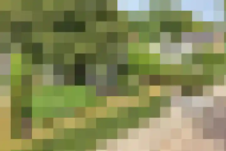 Wijde Omloop 22 Oosterhout thumbnail 49