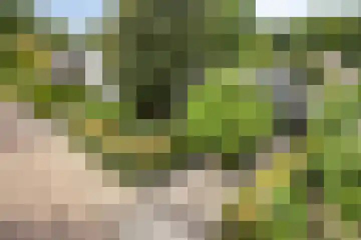 Wijde Omloop 22 Oosterhout thumbnail 55