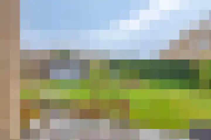 Wijde Omloop 3 Oosterhout thumbnail 36