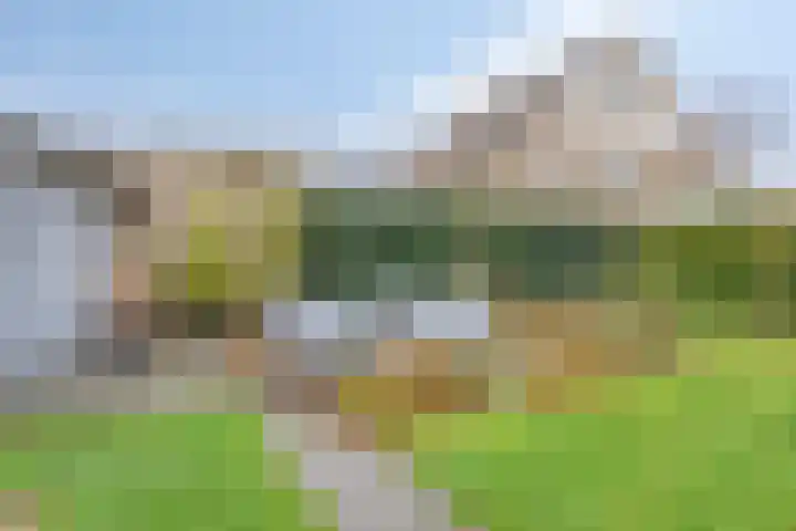 Wijde Omloop 3 Oosterhout thumbnail 37