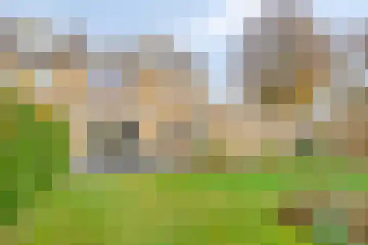Wijde Omloop 3 Oosterhout thumbnail 38