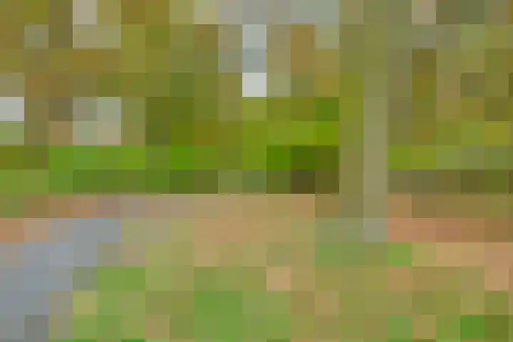 Wijde Omloop 3 Oosterhout thumbnail 43