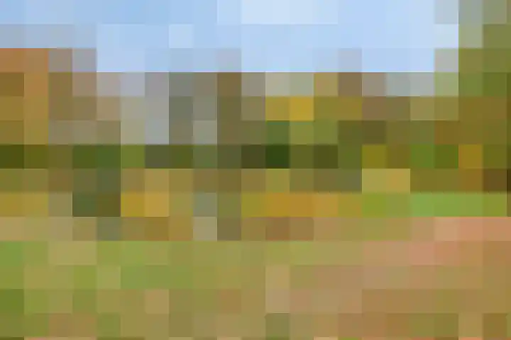 Wijde Omloop 3 Oosterhout thumbnail 44