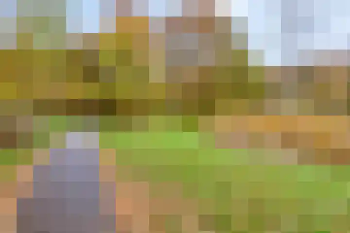 Wijde Omloop 3 Oosterhout thumbnail 45