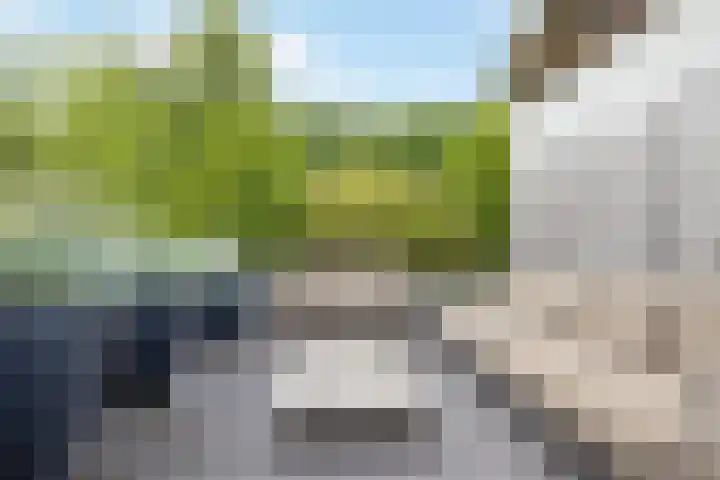 Wijde Omloop 42 Oosterhout thumbnail 31