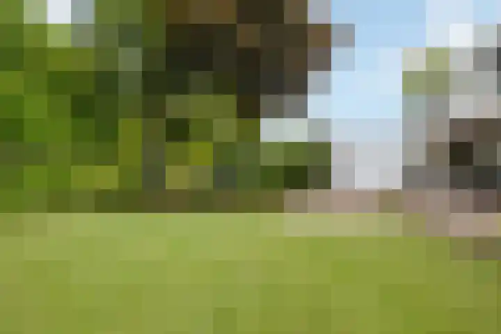 Wijde Omloop 42 Oosterhout thumbnail 52