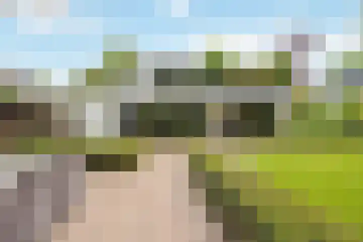 Wijde Omloop 42 Oosterhout thumbnail 55