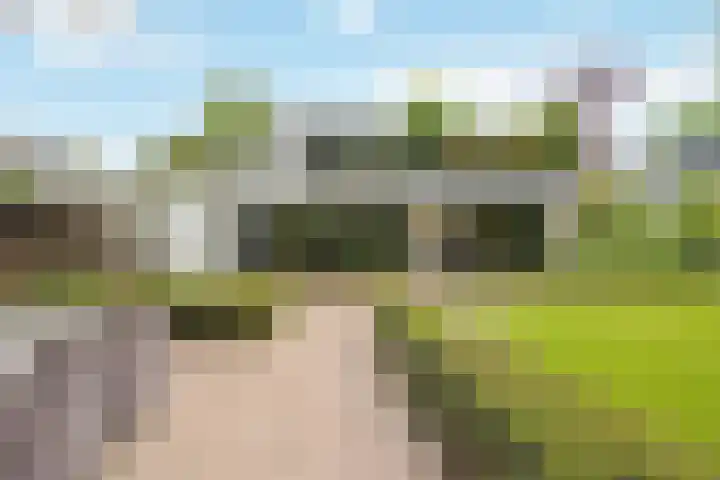 Wijde Omloop 42 Oosterhout thumbnail 63