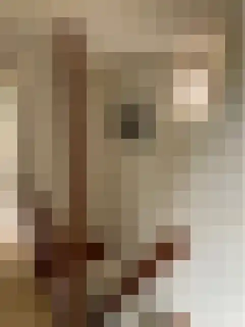 Wijde Steeg 2 Oudeschild thumbnail 15