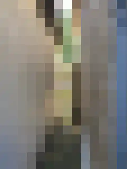 Wijde Steeg 2 Oudeschild thumbnail 23