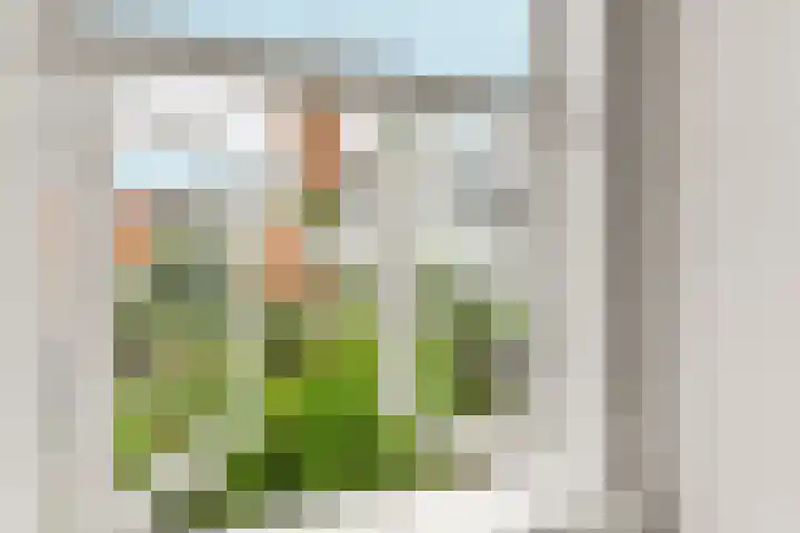 Wijde Steeg 5 Naarden thumbnail 23