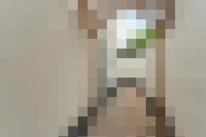 Wijde Steeg 5 Naarden thumbnail 26