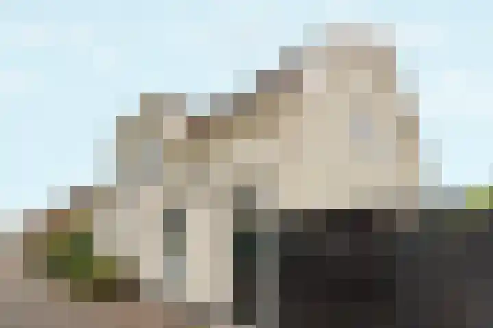 Wijde Steeg 5 Naarden thumbnail 31
