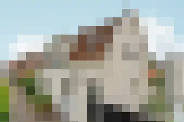 Wijde Steeg 5 Naarden thumbnail 32