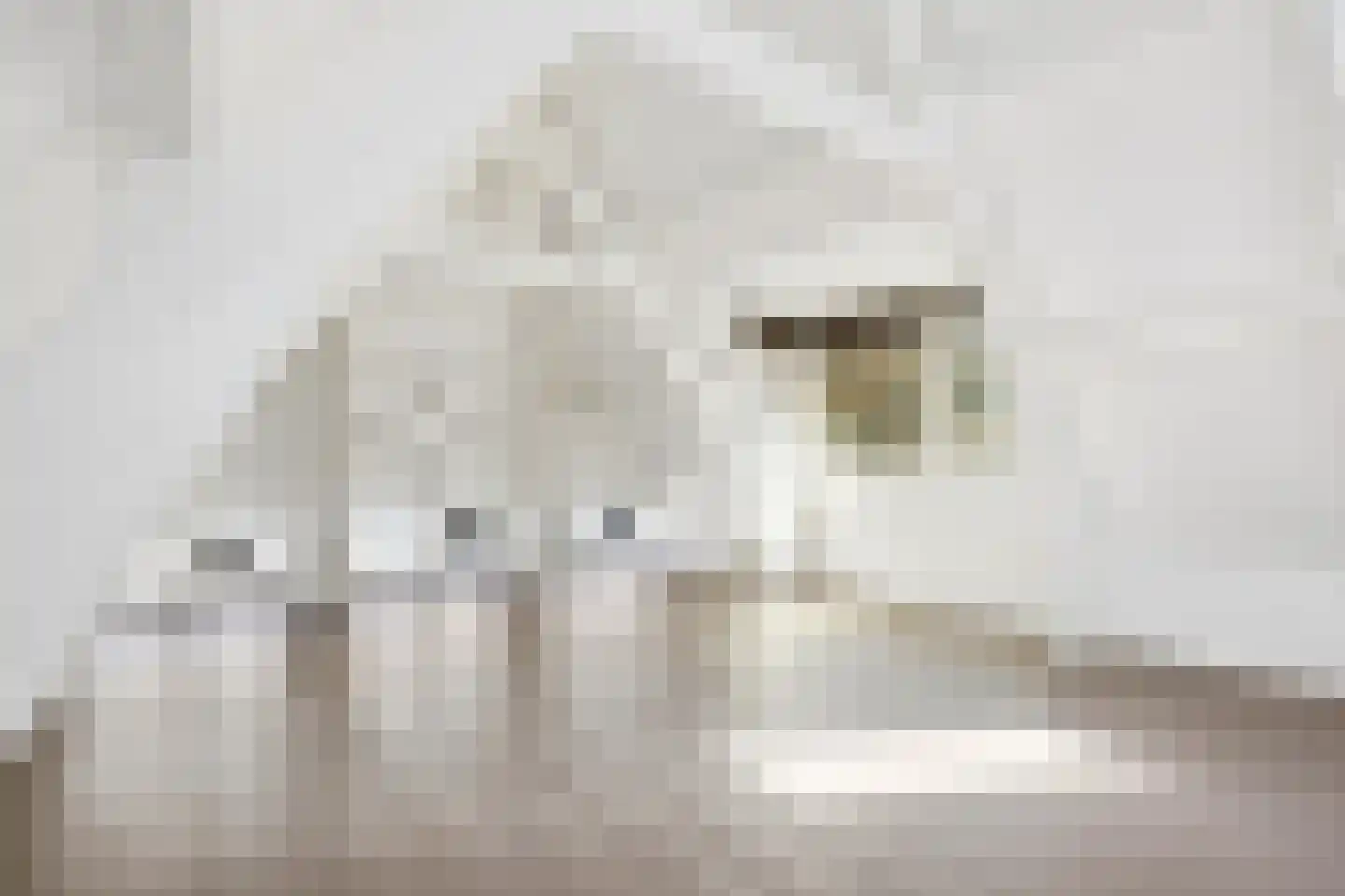 Wijde Watersteeg 2 Utrecht thumbnail 15