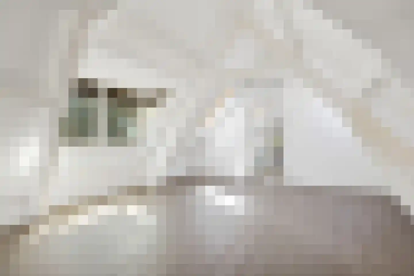 Wijde Watersteeg 2 Utrecht thumbnail 16