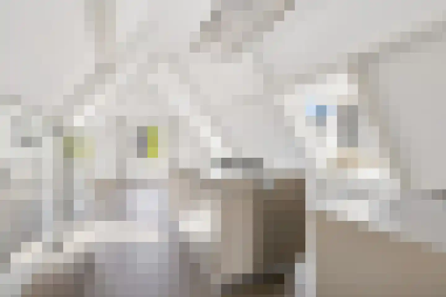 Wijde Watersteeg 2 Utrecht thumbnail 17