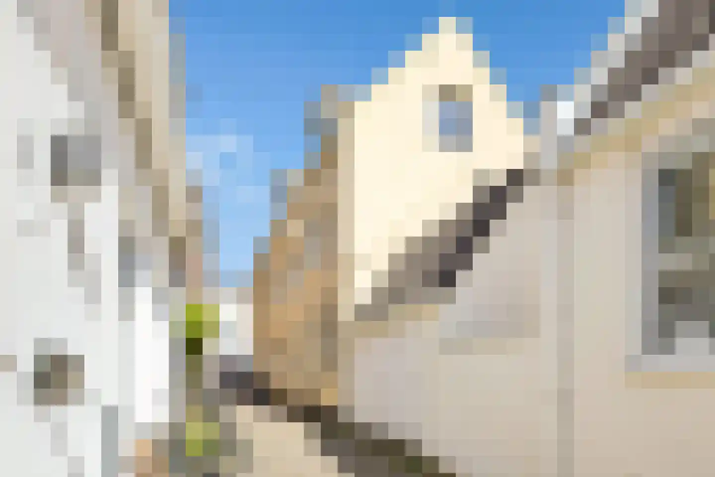 Wijde Watersteeg 2 Utrecht thumbnail 32
