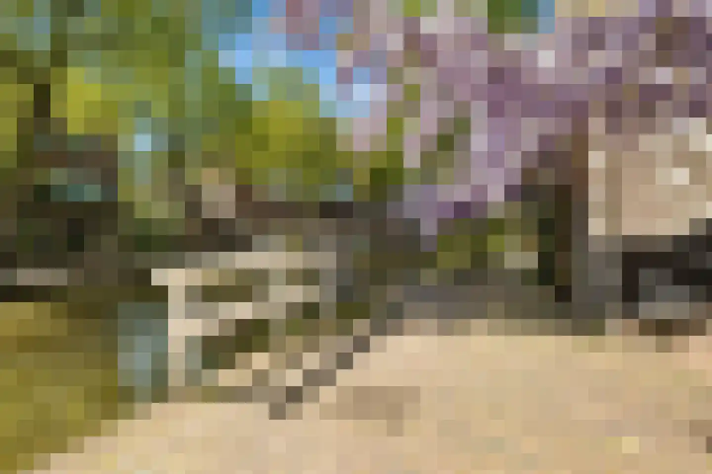 Wijde Watersteeg 2 Utrecht thumbnail 35
