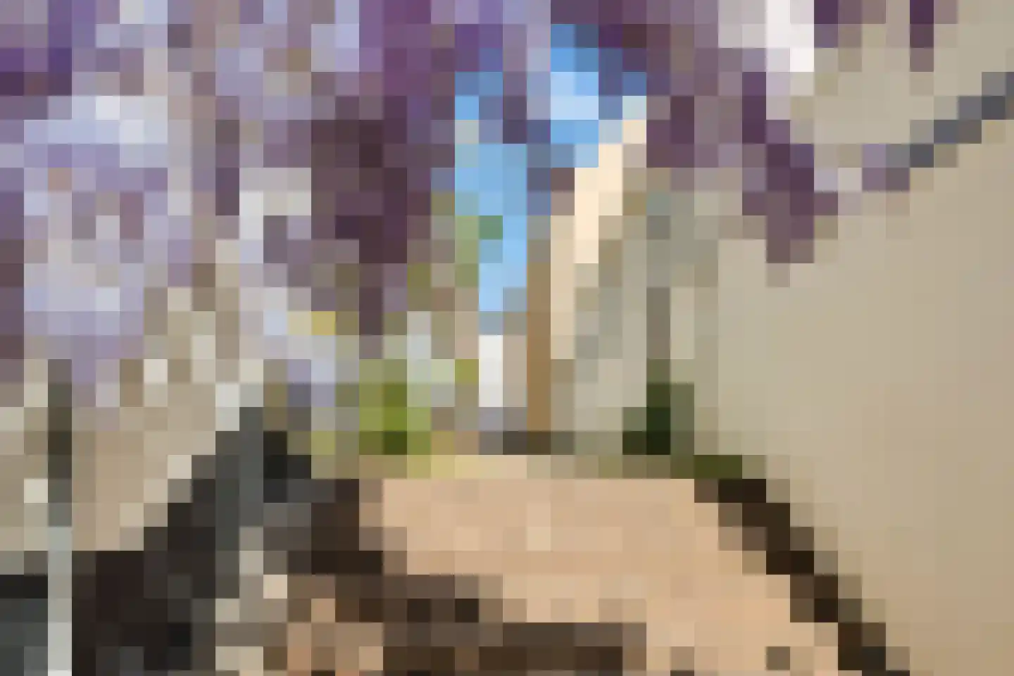 Wijde Watersteeg 2 Utrecht thumbnail 36