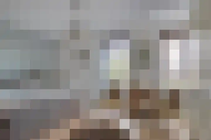 Wijde Wormer 102 Capelle aan den IJssel thumbnail 13