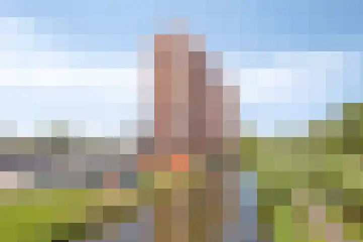 Wijde Wormer 102 Capelle aan den IJssel thumbnail 25