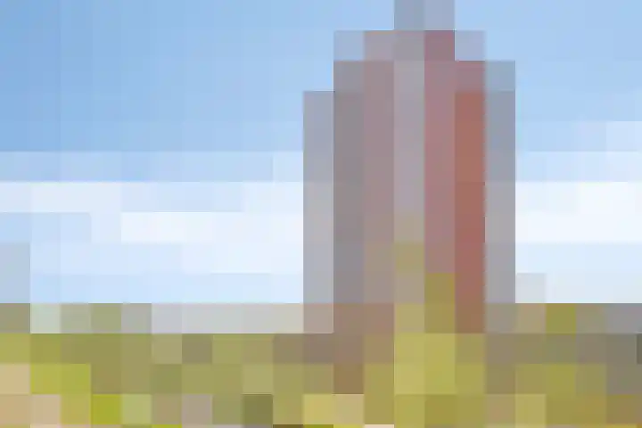 Wijde Wormer 102 Capelle aan den IJssel thumbnail 4
