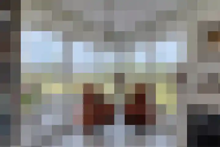Wijde Wormer 102 Capelle aan den IJssel thumbnail 8