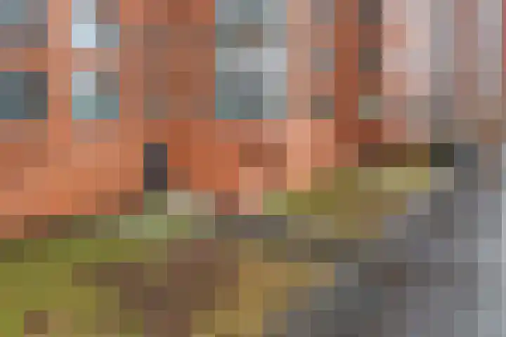 Wijde Wormer 103 Capelle aan den IJssel thumbnail 35