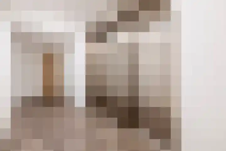 Wijde Wormer 103 Capelle aan den IJssel thumbnail 8