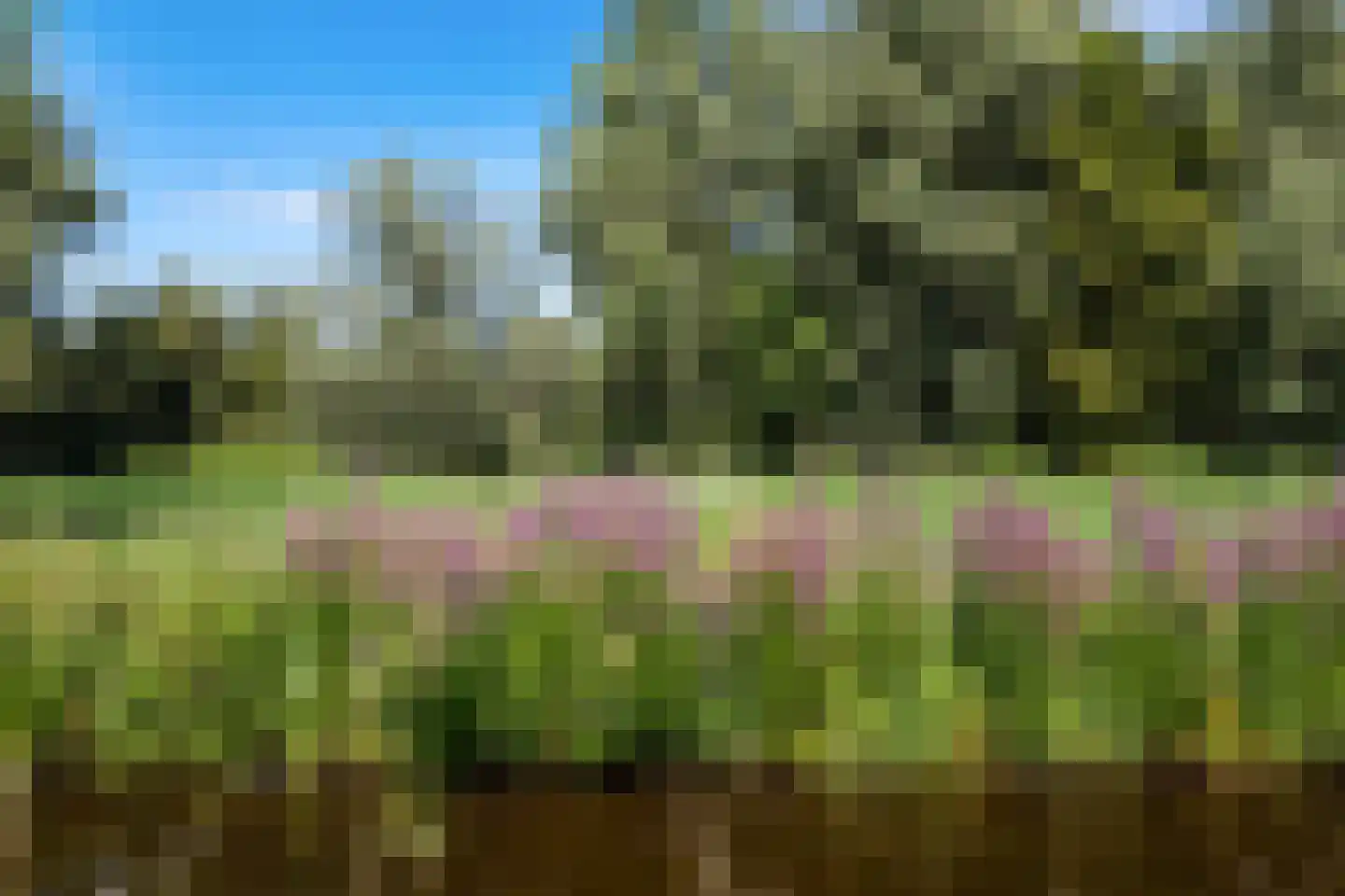Wijde Wormer 120 Capelle aan den IJssel thumbnail 43