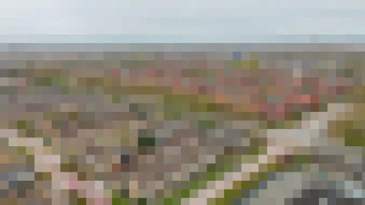 Wijde Wormer 124 Capelle aan den IJssel thumbnail 44
