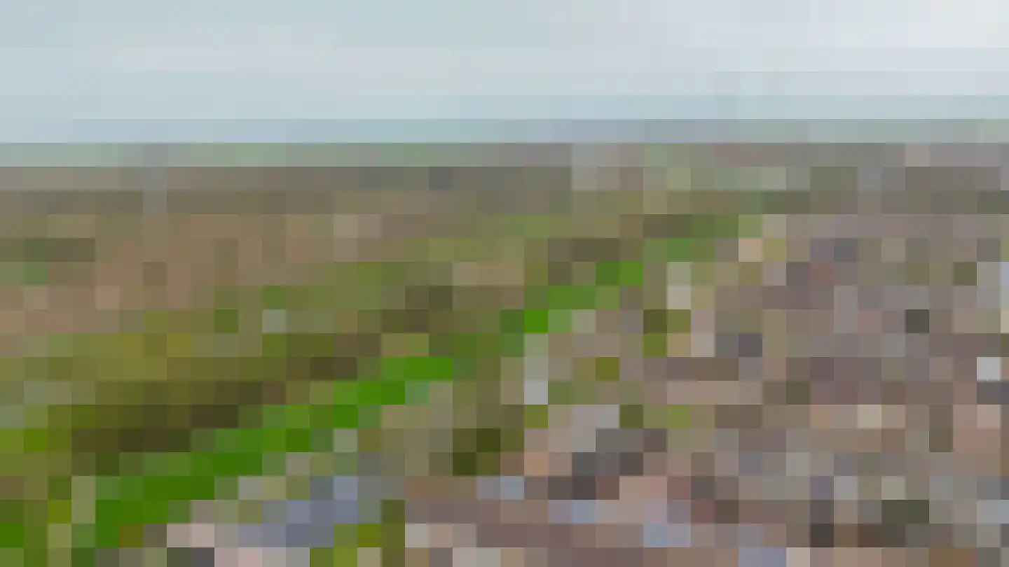 Wijde Wormer 124 Capelle aan den IJssel thumbnail 45