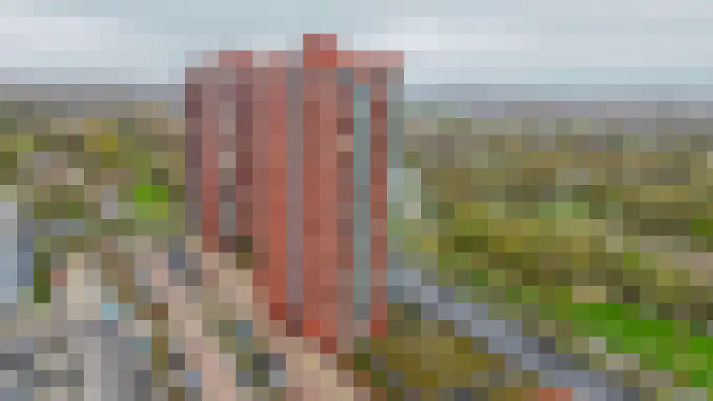 Wijde Wormer 124 Capelle aan den IJssel thumbnail 7