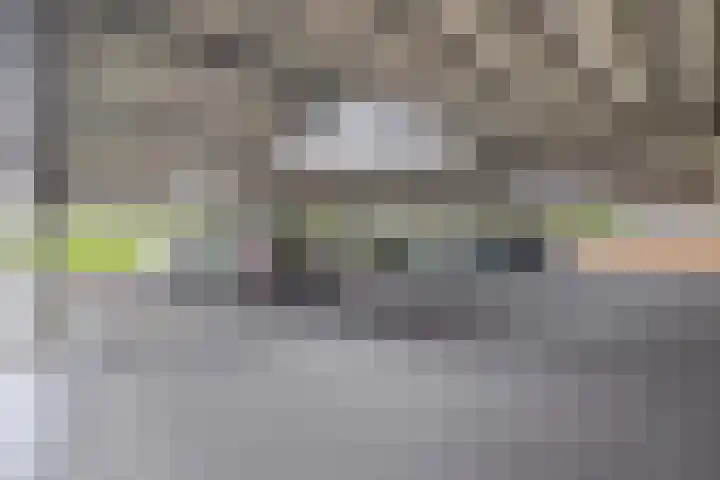 Wijde Wormer 135 Capelle aan den IJssel thumbnail 39