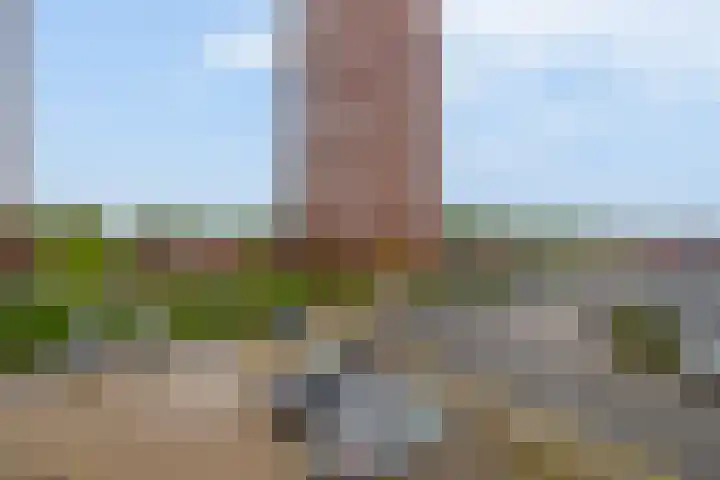 Wijde Wormer 135 Capelle aan den IJssel thumbnail 41